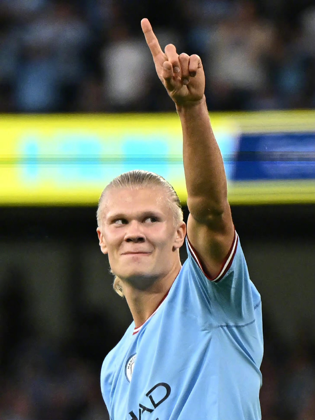 PV播放量突破800万 为什么《动物朋克》的关注度这么高？